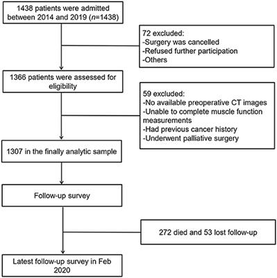 Comparisons and Impacts of the Basic Components of Sarcopenia Definition and Their Pairwise Combinations in Gastric Cancer: A Large-Scale Study in a Chinese Population